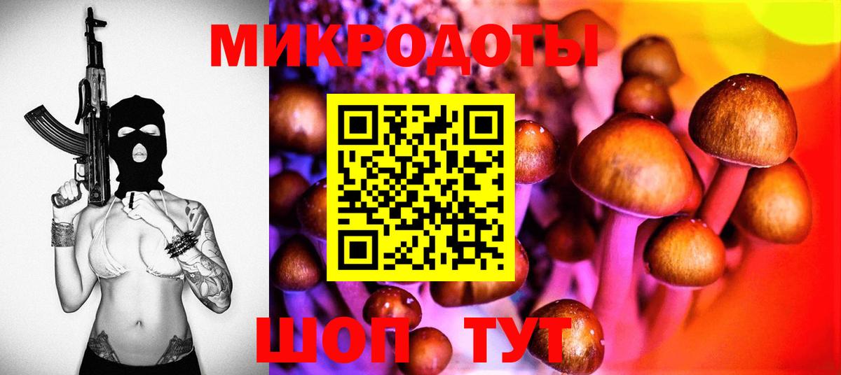 Киров  Галлюциногенные грибы GOLDEN TEACHER  Вход с VPN  Псилоцибиновые грибы Psilocybe 