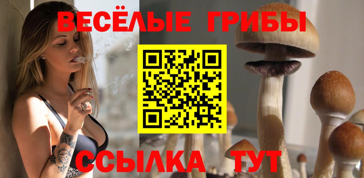 Псилоцибиновые грибы Cubensis Киров